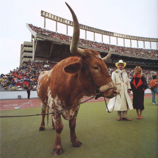 1985-bevo.jpg