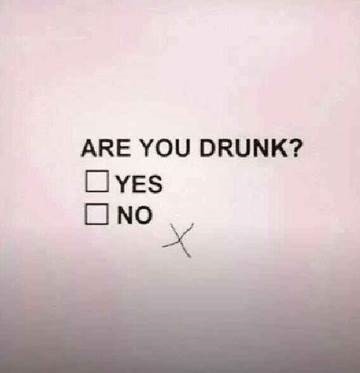 Are you drunk.jpg