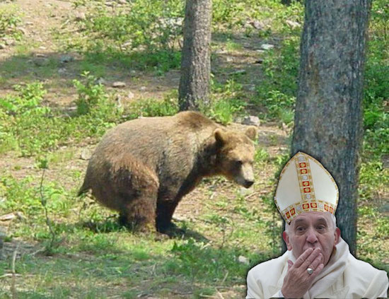 bearpope.jpg