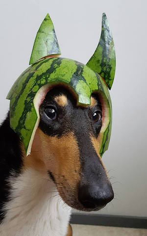 melon-collie.jpg