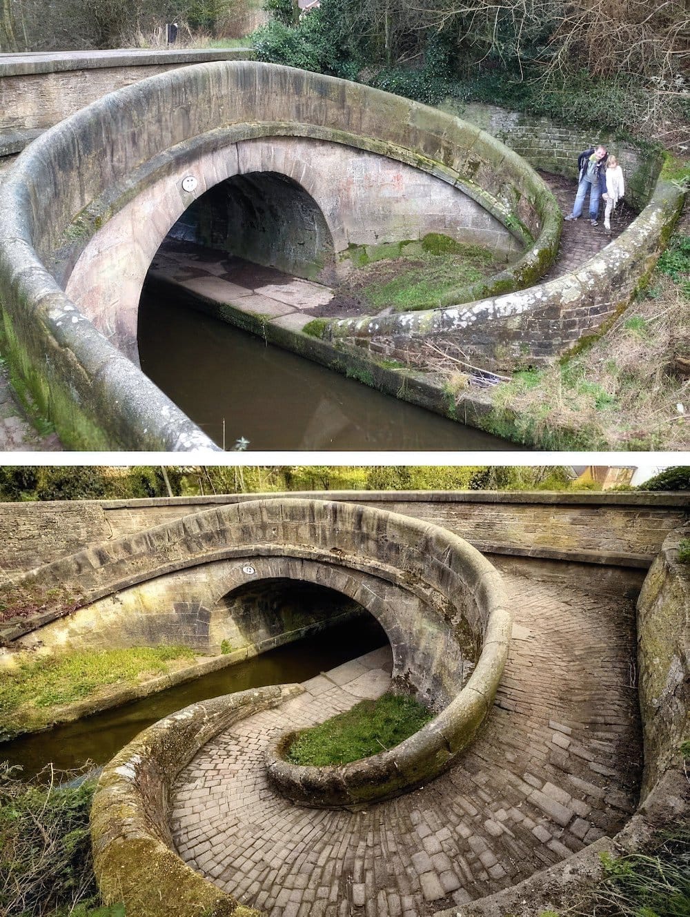 snake-bridge.jpg