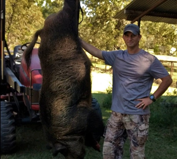 trimmed-hog_36675131_ver1.0-217703753.jpg