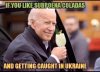 bidensubpoenacoladas.jpg