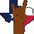 TexanNexile