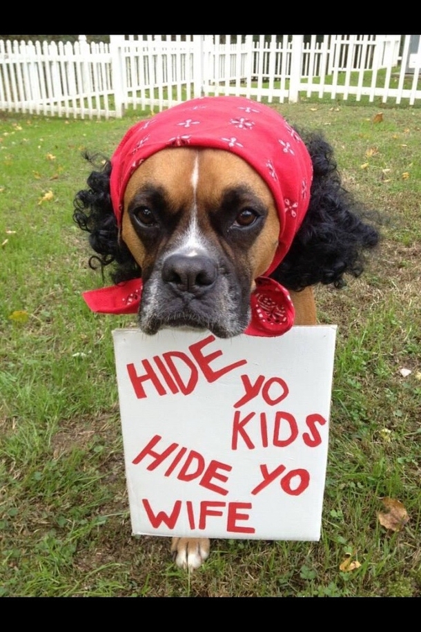 hide-yo-kids-hide-yo-wife-58335.jpg