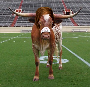 rose-bevo.jpg