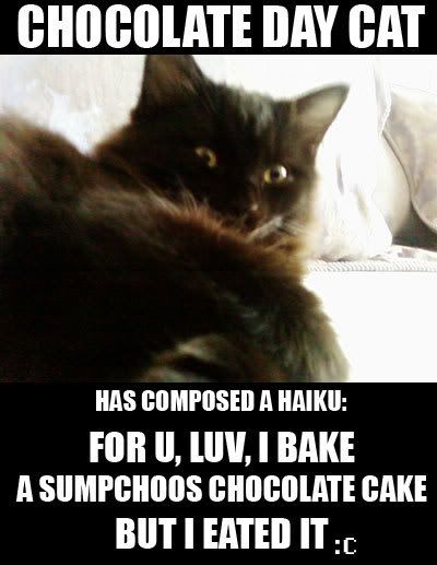 bakeduchocolate2.jpg