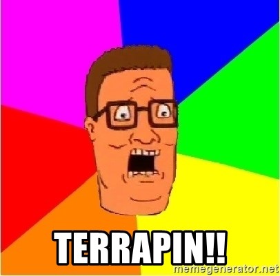 terrapin.jpg