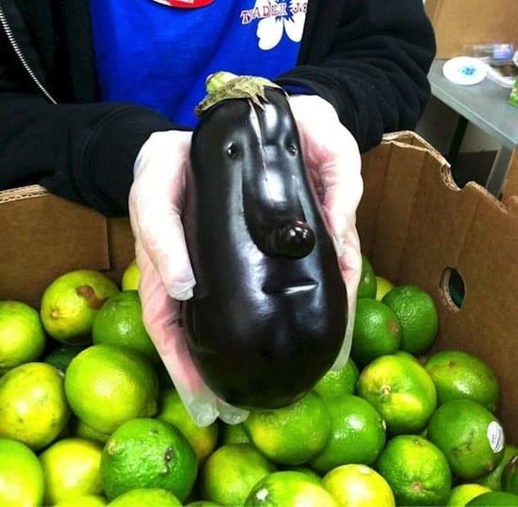 _8846310-things-eggplant-1545899767-728-26f8ca8ab9-1546422333.jpg