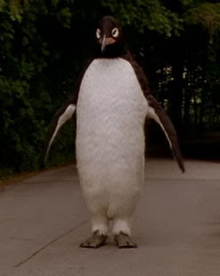 Billy%27s+penguin.jpg