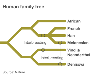 _50547826_human_family_tree304.gif