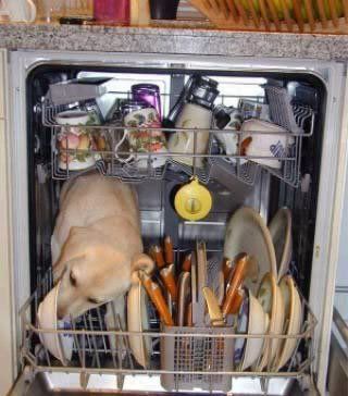 dishwasher.jpg