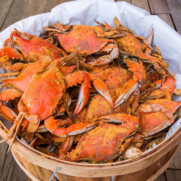 1MARYLANDBLUECRABS.jpg