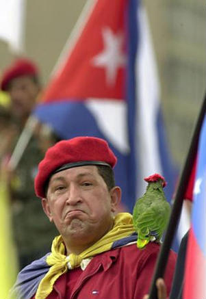 chavez-parrot.jpg