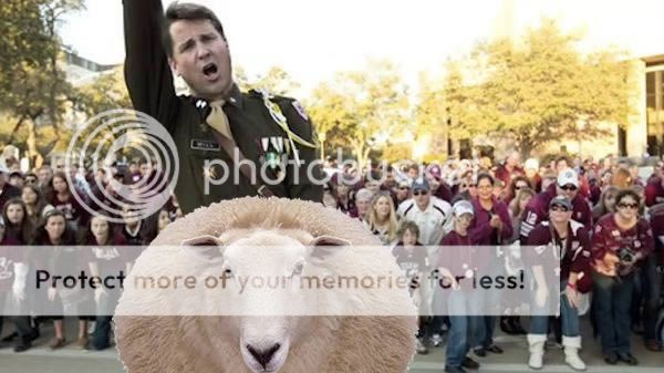 aggie-sheep_zps7uuwkf0v.jpg