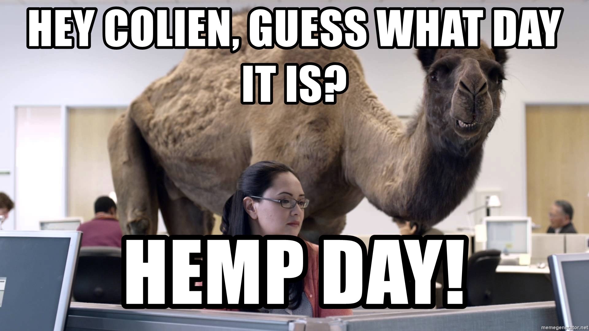 hey-colien-guess-what-day-it-is-hemp-day.jpg