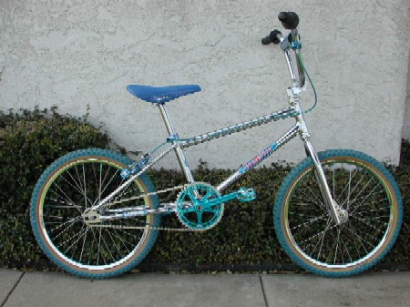 schwinn2_lg.jpg