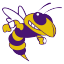 blue-ridge-yellowjackets-936c0c.png