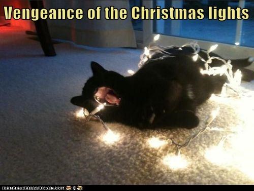 vengeance-of-the-christmas-lights