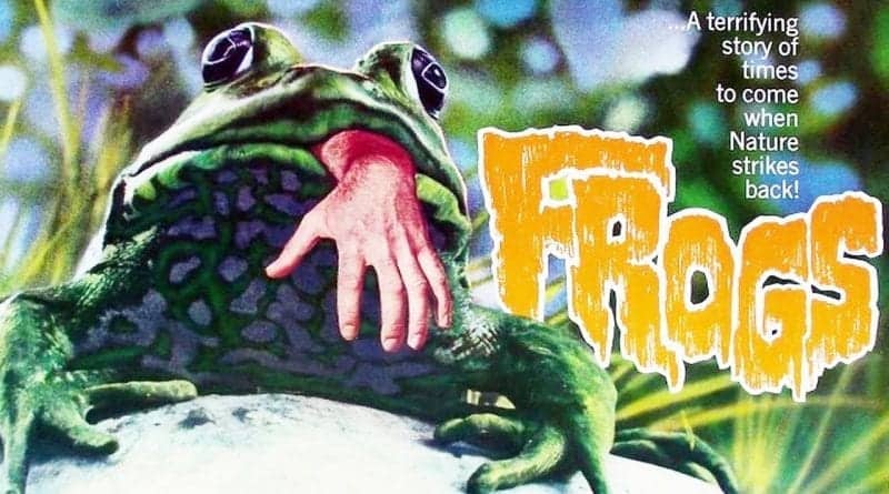 Frogs-Pic-1-800x445.jpg