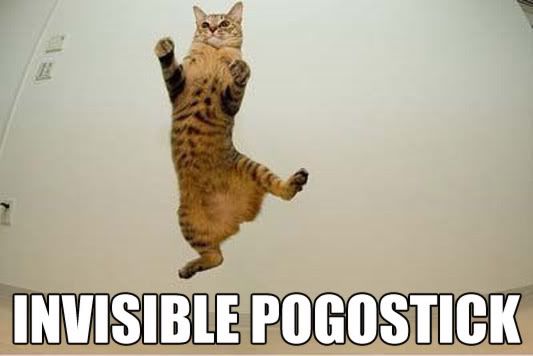 invisiblepogostick.jpg