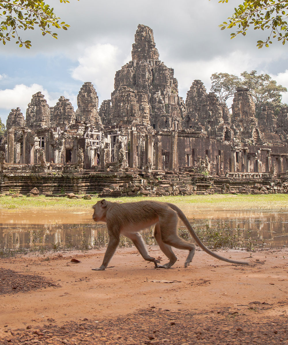 HOJ_AngkorWat_Tall-11.jpg